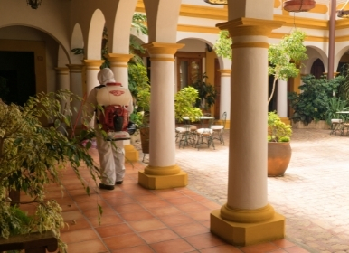 Instalaciones limpias en el Hotel Casa Margarita